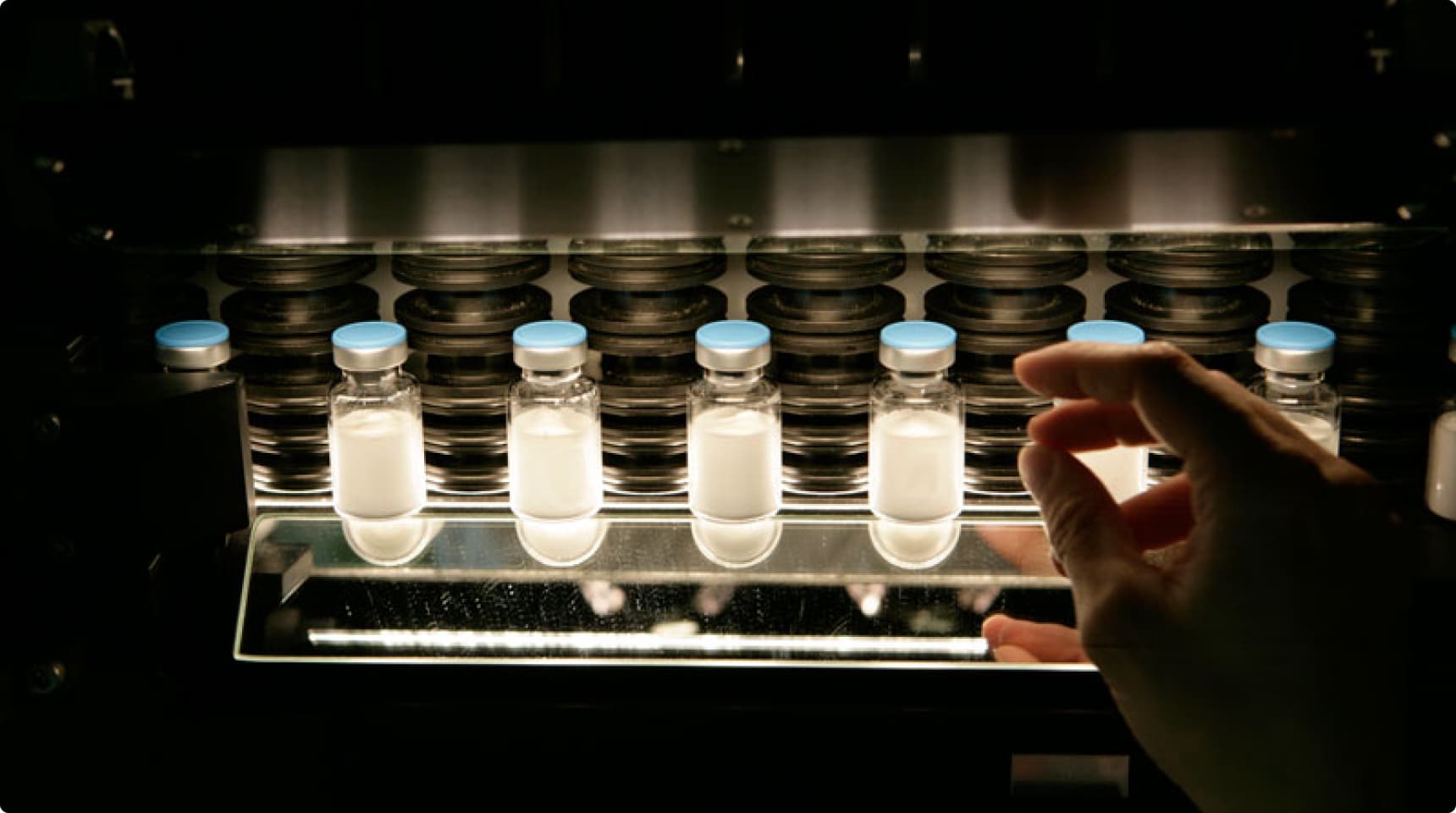 customer focus message image