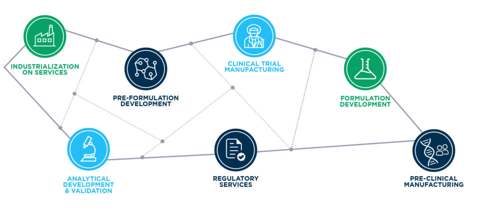 Pharmaceutical Development image